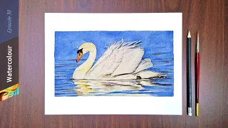 Watercolour Painting - Swan