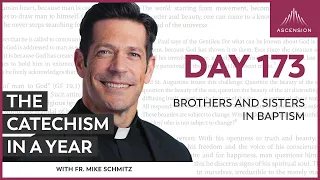 Day 173: Brothers and Sisters in Baptism — The Catechism in a Year (with Fr. Mike Schmitz)