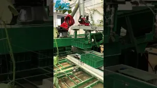 Palletizing robot for environmental protection industry