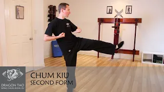 Chum Kiu form - Wing Chun Kung Fu - Performed by Scott Smith of Dragon Tao Kung Fu