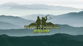 Охота в Крыму на утку с духовым манком.Лучшие моменты охоты на утку. Охота на утку.