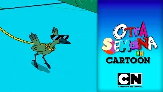 Pájaros, pájaros y más pájaros | Otra Semana en Cartoon  | S03 E02 | Cartoon Network