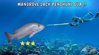 Monster Mangrove Jack Penghuni Gua | Berburu & Masak Di Pulau Surganya Ikan