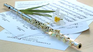 Флейта и оркестр.  Музыка Сергея Чекалина. Flute and Orchestra. Music by Sergei Chekalin.