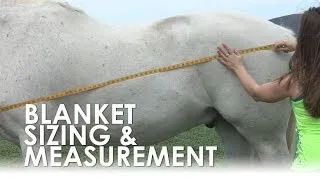 How To Measure For Horse Blanket Size & Fit