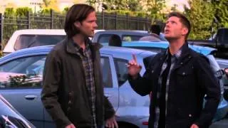 Supernatural Season 09 x 05 Dean vs the Pigeon