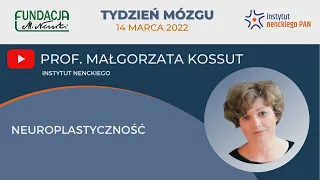 Prof. Małgorzata Kossut -  "Neuroplastyczność" - Tydzień Mózgu 2022