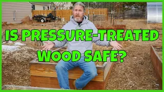 Is Pressure Treated Wood Safe for Raised Garden Beds?