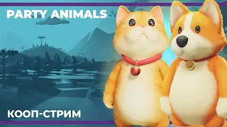 Мимимишные шалости | Party Animals (17.10.2023)