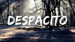 Despacito - Luis Fonsi (Lyrics)  Sia ,Unstoppable, David Guetta (MixLyrics)