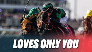 Will Japan's Breeders' Cup HERO win in Hong Kong? | Loves Only You #ラヴズオンリーユー