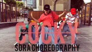 ASAP Rocky - Cocky l  TEAM MAD SPIRIT PROMO l SORA CHOREOGRAPHY VIDEO