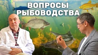 Ихтиопатолог про выращивание рыбы в прудах и прочие вопросы по рыбоводству