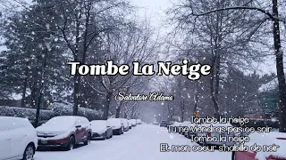 🍁☃️Tombe La Neige (Salvatore Adamo)눈이 내리네(김추자)☃️