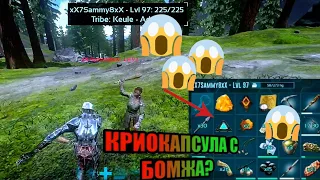 Арк мобайл / Соло выживание на пвп сервере 2  / ark mobile pvp