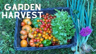 Peaceful Garden Harvest in North Idaho