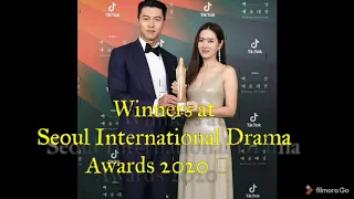 SON YE JIN  WINNER HALLYU BEST actress AND CLOY WIN EXCELLENCE AWARD