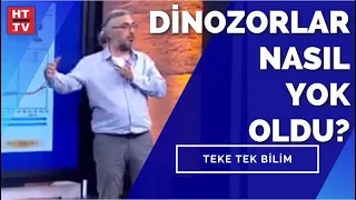 İnsanlar dünyaya nasıl yayıldı? Dr. Emrah Çoraman yanıtladı