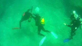 Panic diver training...