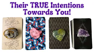 💕Discover THEIR TRUE INTENTIONS Towards You💕 PICK A CARD 🎴 Love Insights Tarot Reading
