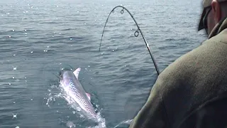 Pecanje tune na moru u Crnoj Gori - ušće reke Bojane u more 2 deo | Fishing tuna Montenegro