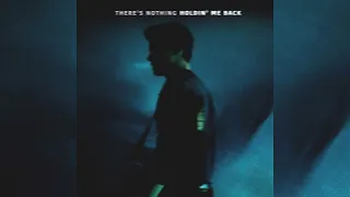 Shawn Mendes - There's Nothing Holdin' Me Back  [Official Studio Acapella]