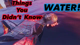 8 Things You Didn't Know In Spider-Man: Miles Morales!