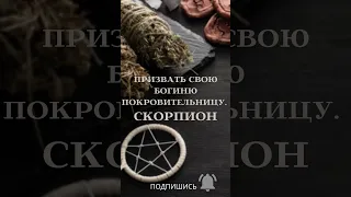 ПРИЗВАТЬ СВОЮ БОГИНЮ ПОКРОВИТЕЛЬНИЦУ. СКОРПИОН. ▶️ ВЕДЬМИНА ИЗБА ▶️ ИНГА ХОСРОЕВА.