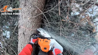 Stihl MS 500 i the 1st chainsaw with injection system when felling and limbing