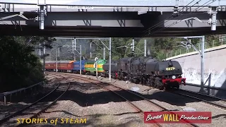 6029, 3642 - Steamfest transfers - Beecroft - April 2018