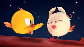 Onde está Chicky? 2022 | O GATO E O SORRISO | Desenhos Animados Infantil | Novos episódios