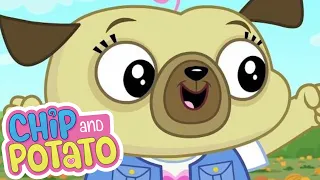 Chip and Potato | Chips Very Busy Day | Cartoons For Kids | Watch More on Netflix