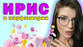 💃🏻ЖЕНСТВЕННЫЕ АРОМАТЫ |АРОМАТЫ ПРО ИРИС💃🏻