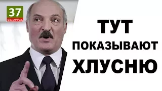 Главные новости Беларуси. Новости сегодня. Тут показывают Хлусню. ПАРОДИЯ. 6-ой выпуск.