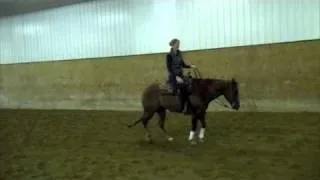 Reining w: Shawn Flarida, May 4th, 2011