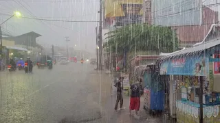 Super heavy rain and strong winds in my village | Rain Sound Therapy Makes Sleep More Comfortable