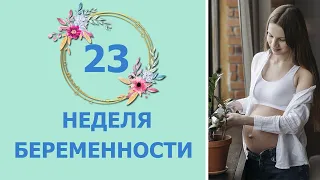 23 Неделя Беременности. Развитие плода и ощущения мамы