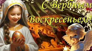 Красивое поздравление с Вербным воскресеньем. 28 апреля 2024- Вербное воскресенье. Мира и добра вам!