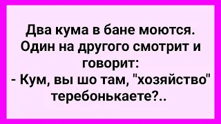 Два Кума в Бане! Один Теребонькает! Подборка Смешных Жизненных Анекдотов для Настроения!