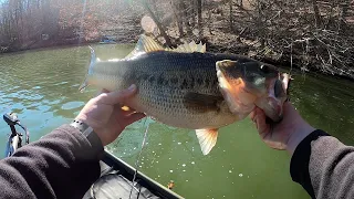 Prespawn PIG eats my JIG (Smith Mountain Lake)