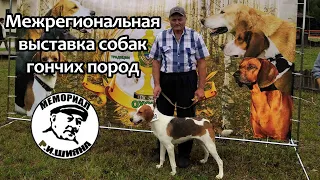 Межрегиональная выставка собак гончих пород "МЕМОРИАЛ Р.И. ШИЯНА".