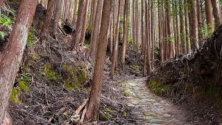 Kumano Kodo - Takijiri-Oji to Chikatsuyu-oji