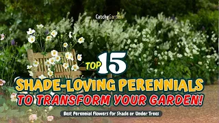 TOP 15 SHADE-LOVING PERENNIALS to Transform your GARDEN! 😱🍃🌼 // Gardening Ideas