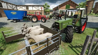 Small tractors working at the Farm - New animals transport and feed | Farming Simulator 22