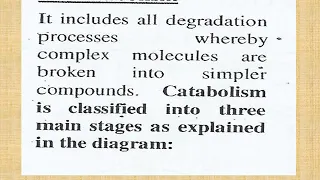 1- introduction to metabolism ,bioenergetics