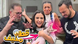 ‏ ‏فاجأت اهلي و جبت قطة بلا شعر عل بيت😍😂