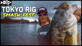 Tokyo Rigging Bass Shallow to Deep - First Impressions