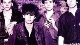 Echo & the Bunnymen -  Ticket to Ride (Beatles Cover)