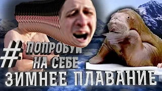 #ПОПРОБУЙНАСЕБЕ ЗИМНЕЕ ПЛАВАНИЕ