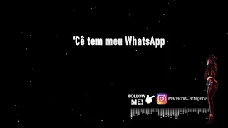 KARAOKE Meia Noite (Você tem meu Whatsapp) - Tarcísio do Acordeon